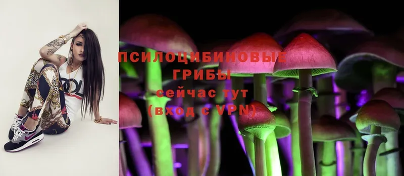 Галлюциногенные грибы Psilocybe Крымск