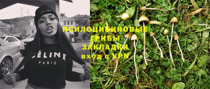 Псилоцибиновые грибы Magic Shrooms  omg tor  Крымск 